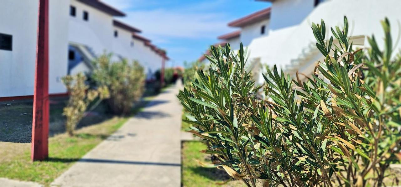 Fkk Ada Bojana Hotel Ulcinj Luaran gambar